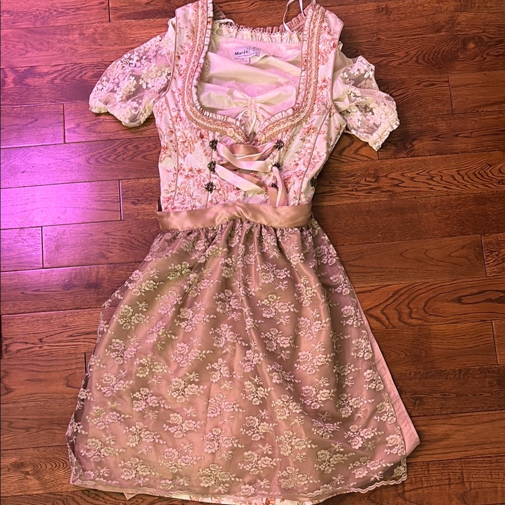 German Dirndl Dress and Undershirt